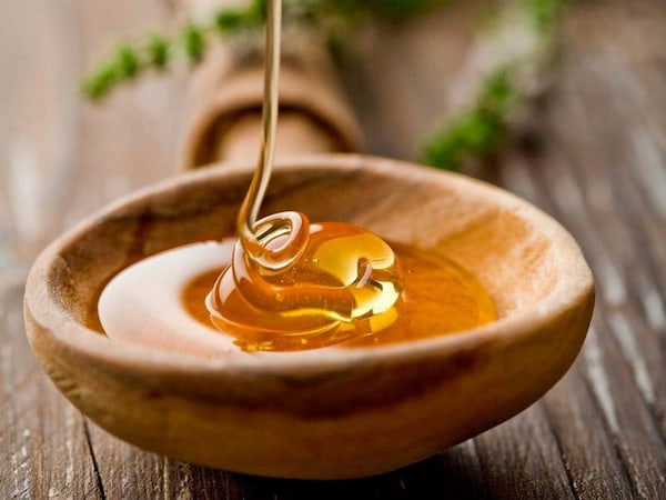 خرید جدیدترین انواع عسل یونجه اصل
